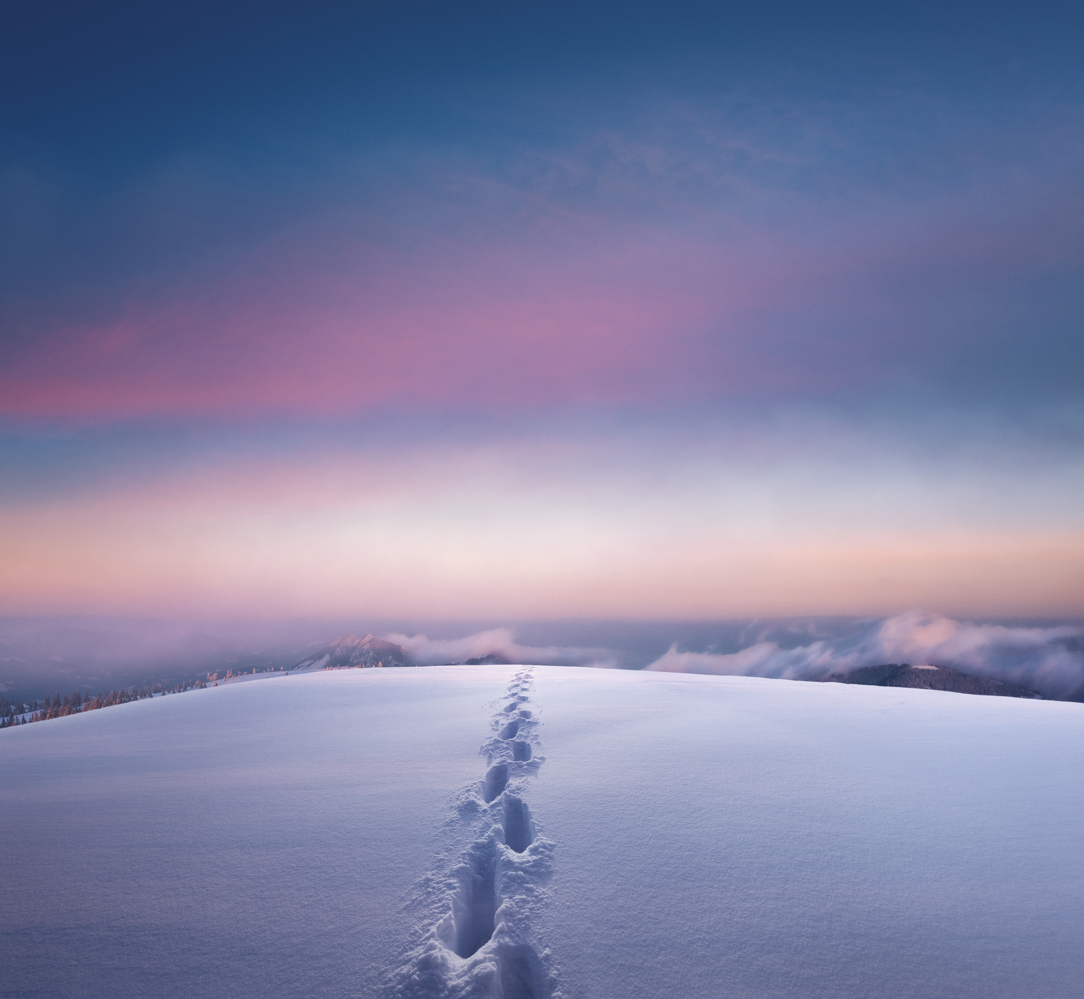 Path In The Snow