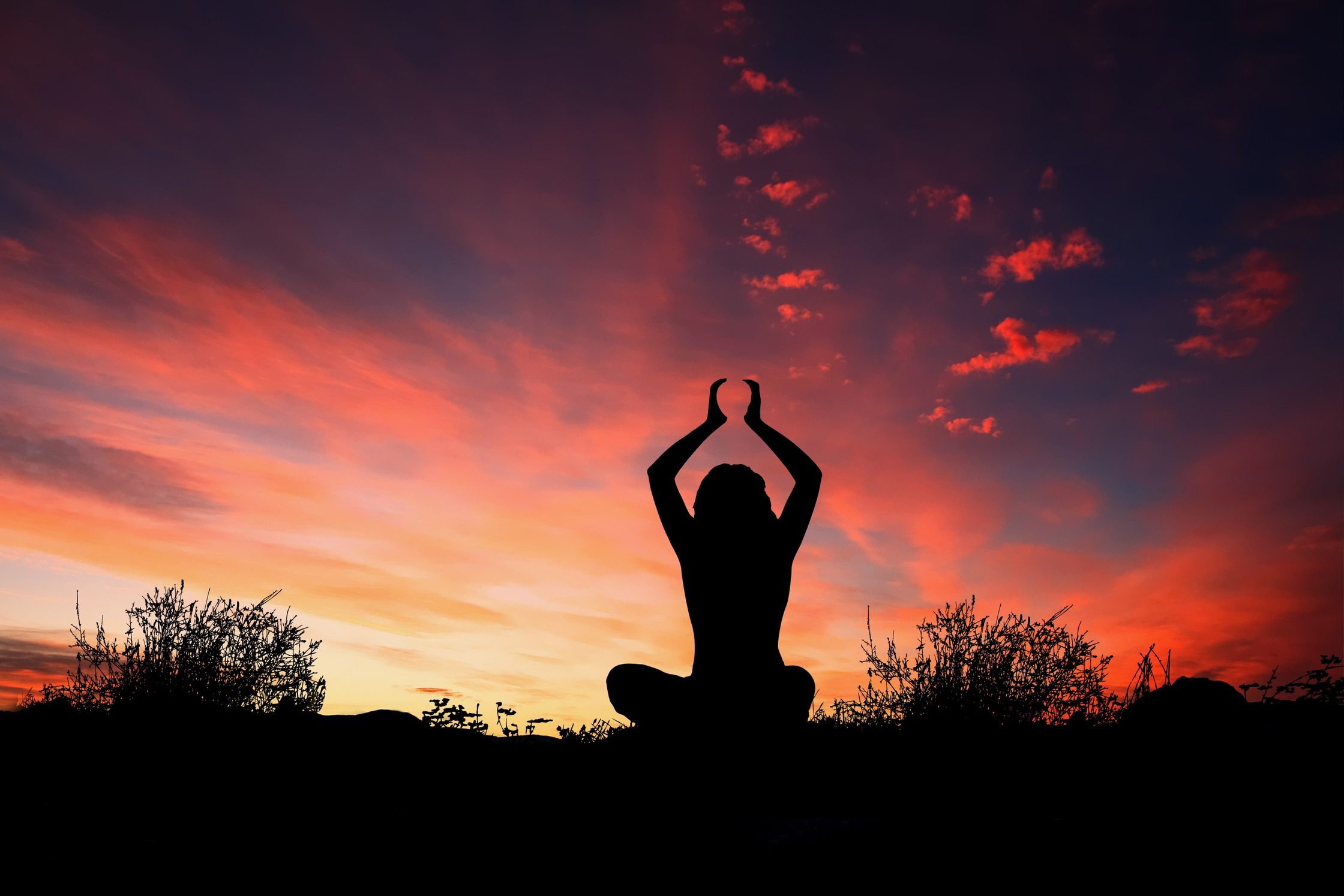 Silhouette of a Yogi in Sunset